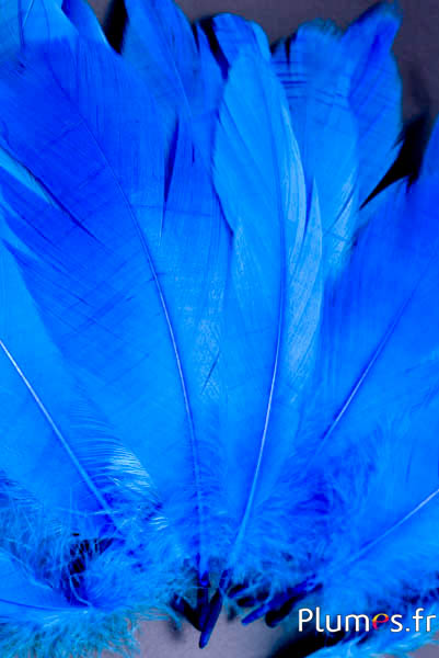 Oca - 11-15 cm - turchese